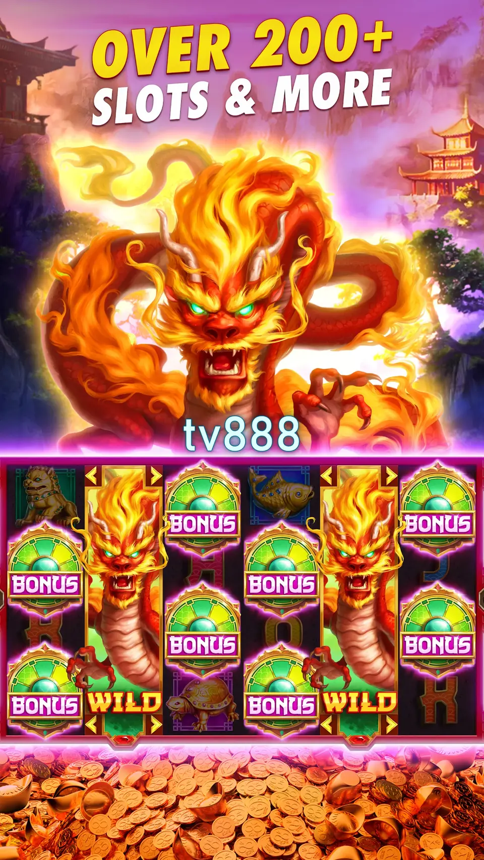 tv888 Masuk